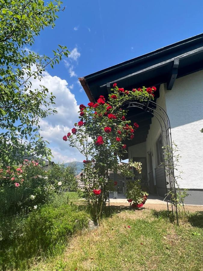 Ferienhaus Lara 湖畔的费尔德 外观 照片